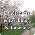 landschaft-tnr.png