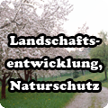 landschaft.png