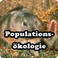 population.png