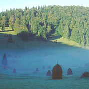 apuseni-nebel.jpg