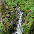 dreisamniederung.jpg