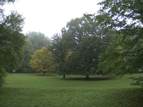 bilder-seminar1-11.jpg