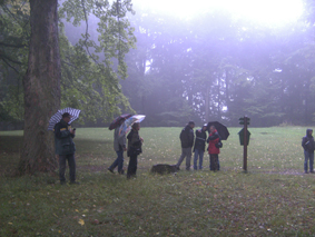 bilder-seminar1-16.jpg