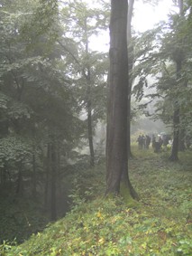 bilder-seminar1-21.jpg