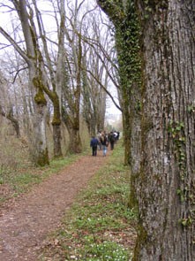histopark-auftackt-07.jpg