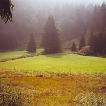 neumagen-glashof.jpg