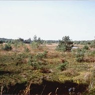 offenland-schiessplatz.jpg
