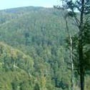 park-medvednica1.jpg