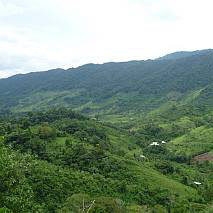 redd-peru-1.jpg