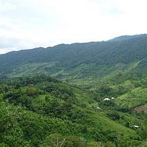 redd-peru-1.jpg