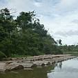 redd-peru-3.jpg