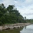 redd-peru-3.jpg