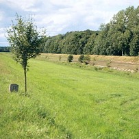 rfk-raeumung1.jpg