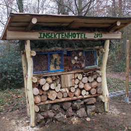 umweltbildung-insektenhotel.JPG