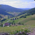 waldzunahme-schwarzwald.jpg