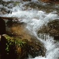 wasser.jpg